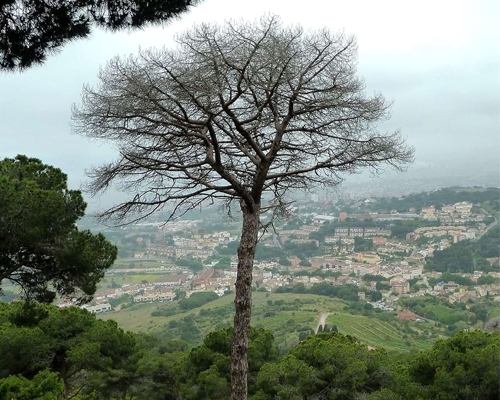 17è Concurs fotogràfic del Parc de la Serralada Litoral