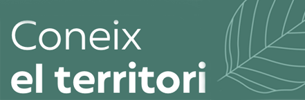 Territori Vall del Ges, Orís i Bisaura