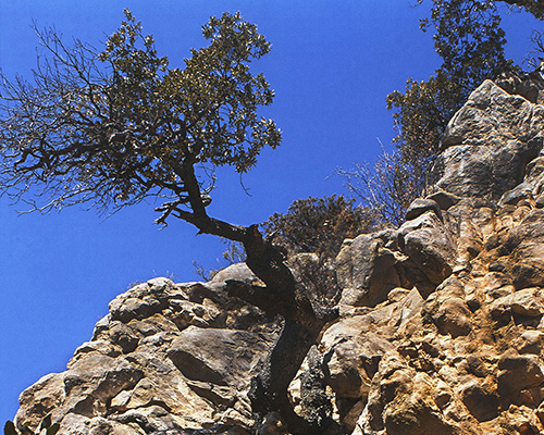 XXXII Concurs de Fotografia Viu el parc dels Parcs del Garraf, d'Olèrdola i del Foix XXXII Concurs de Fotografia Viu el parc dels Parcs del Garraf, d'Olèrdola i del Foix