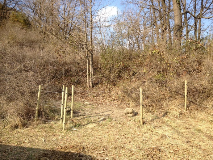 Tutors formant un petit tancat a la vora del bosc