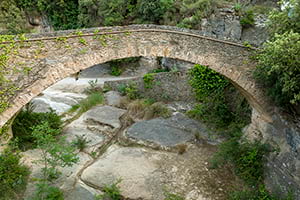 Pont del Rossinyol