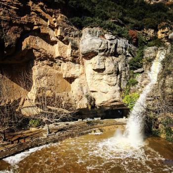 Salt del Rossinyol, 2017