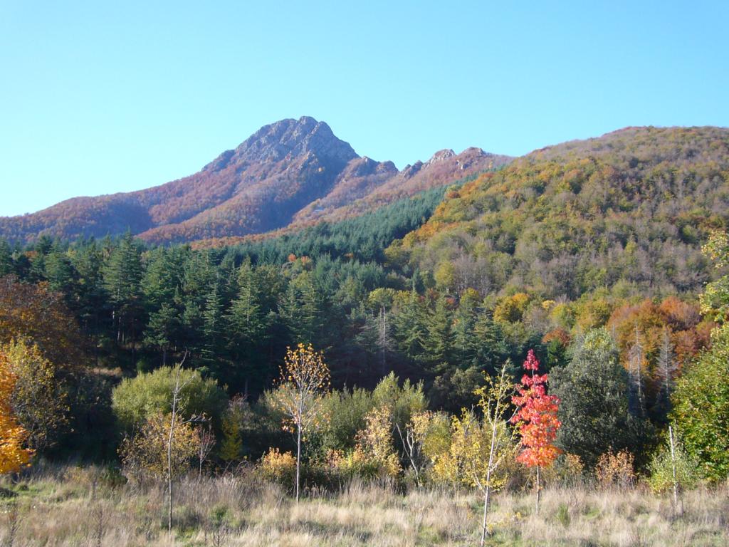 Dia internacional de les Muntanyes - 2011