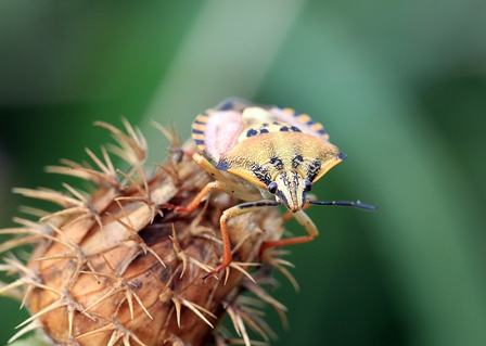 I Ral·li fotogràfic del Parc de la Serralada Litoral