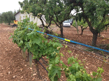 Detall del material emprat. Font: Generalitat de Catalunya