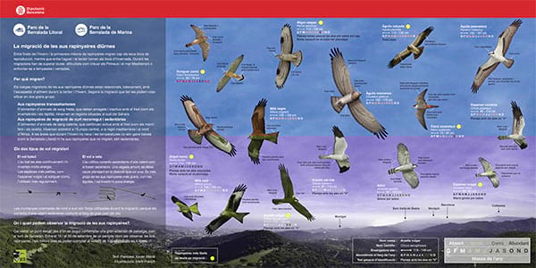 Plafó d'infografia de l'ambient d'una bassa