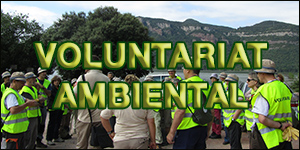 Programes i activitats diverses que requereixen la participació presencial, col·lectiva i organitzada, en dates concretes