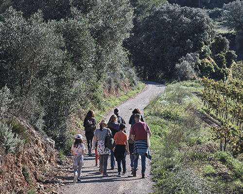 Parcs del Garraf, Olèrdola i el Foix. Passejades guiades 2025