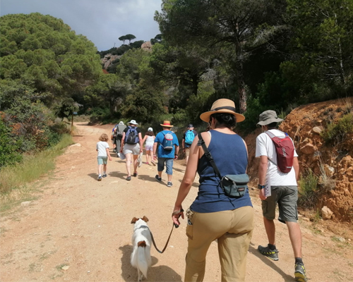 Parc de la Serralada Litoral. Passejades guiades 2025