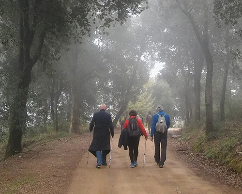 Montnegre. Passejades guiades 2025