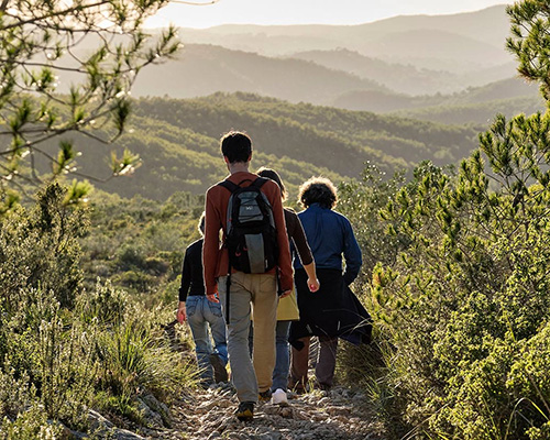 Passejades guiades i altres activitats. Coneguem el nostre patrimoni natural Passejades guiades i altres activitats. Coneguem el nostre patrimoni natural