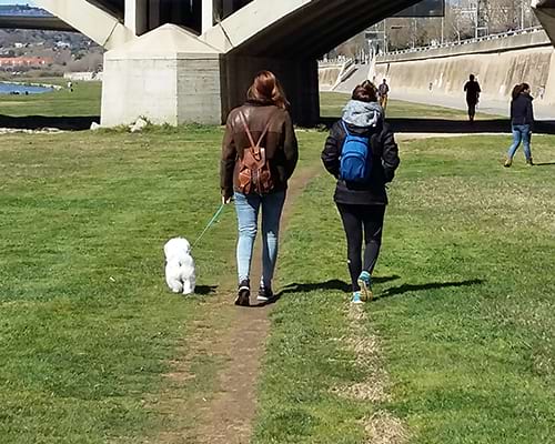 Consells de seguretat i protecció [pdf]