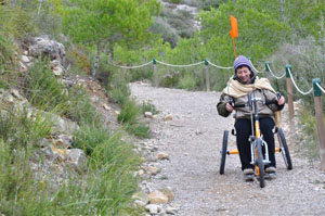 Bicicleta de mà handbike