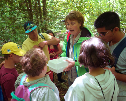 Programes escolars d’educació ambiental