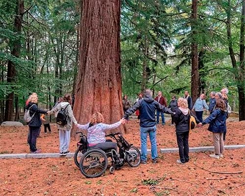 Rutes teatralitzades inclusives