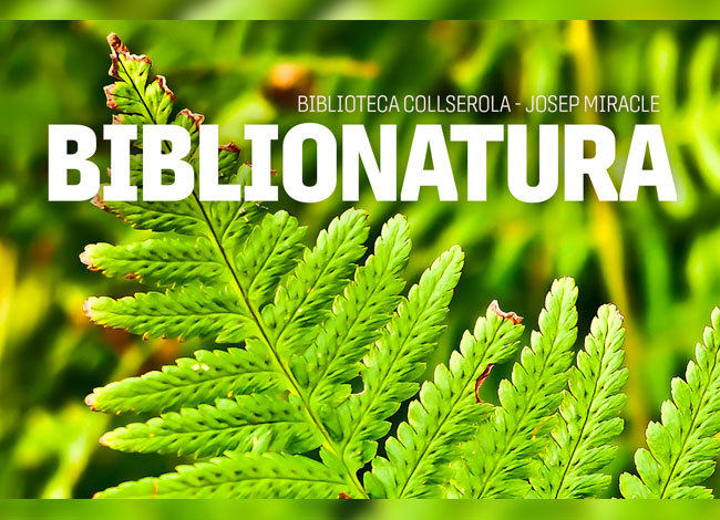 Biblioteques de Barcelona