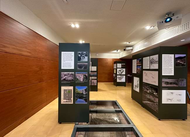 Mònica Martínez Bajo