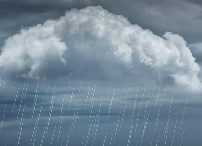 Biblioteca Anton Carrera