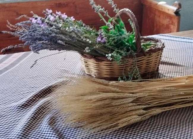 Fundació Jacint Verdaguer