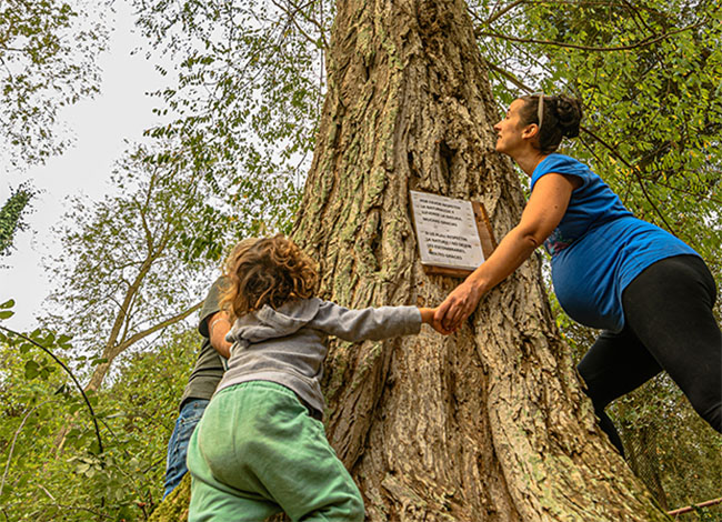 Maria Teresa García Arranza