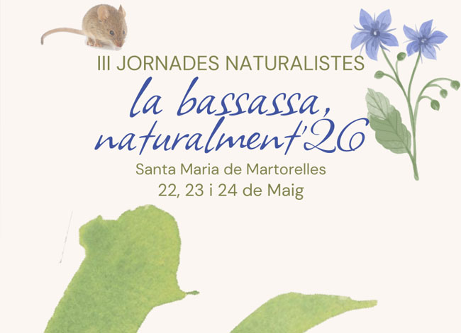 La Bassassa