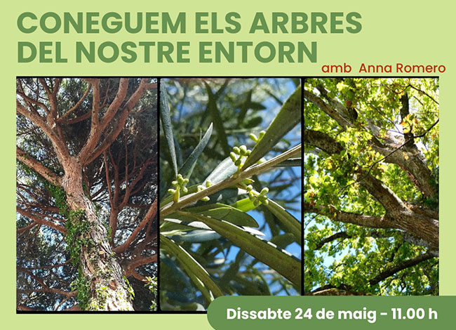 Biblioteca Jaume Perich