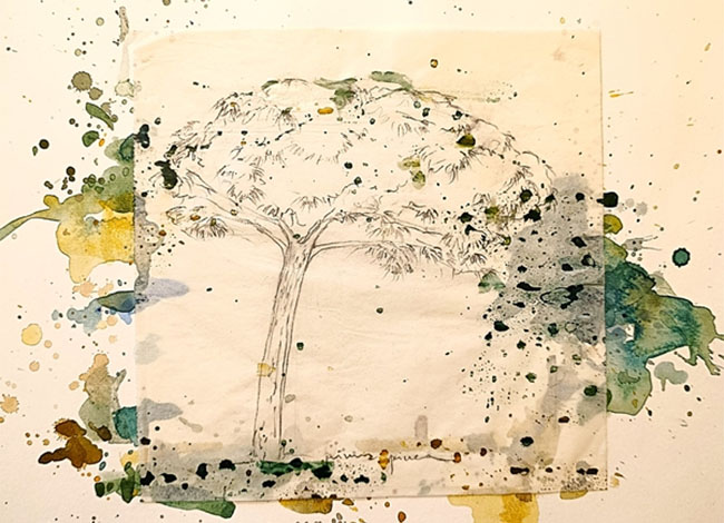 © Anna Ballester Eixarch