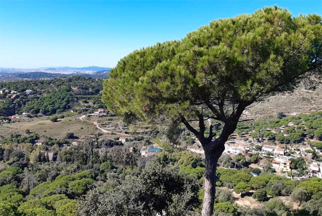 @Biblioteca de Can Llaurador