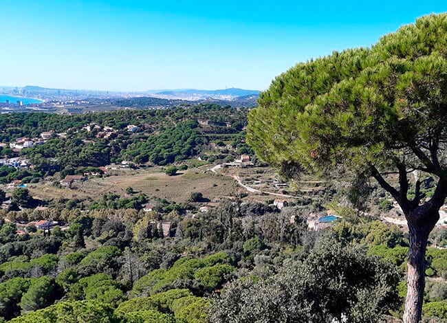 Biblioteca de Can Llaurador
