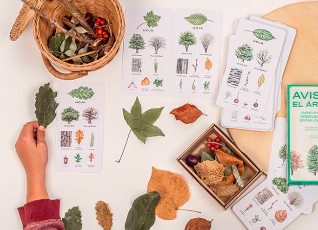 Jocs de taula. Autor: Biblioteca Elisenda de Montcada