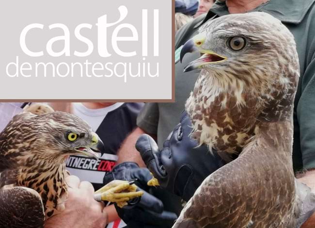 Consorci de la Vall del Ges, Orís i Bisaura