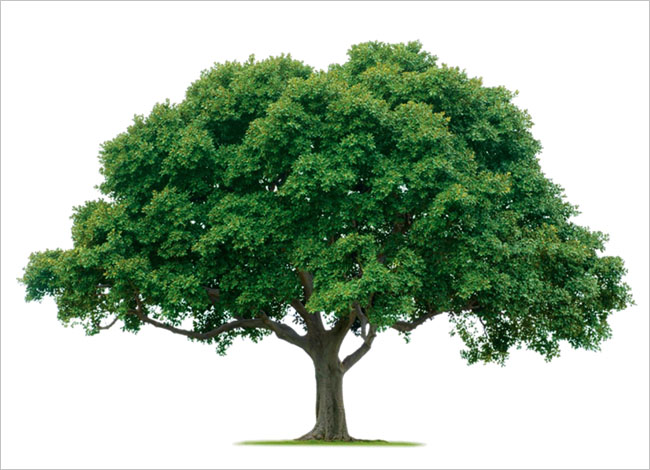 Associació Dones de Dosrius