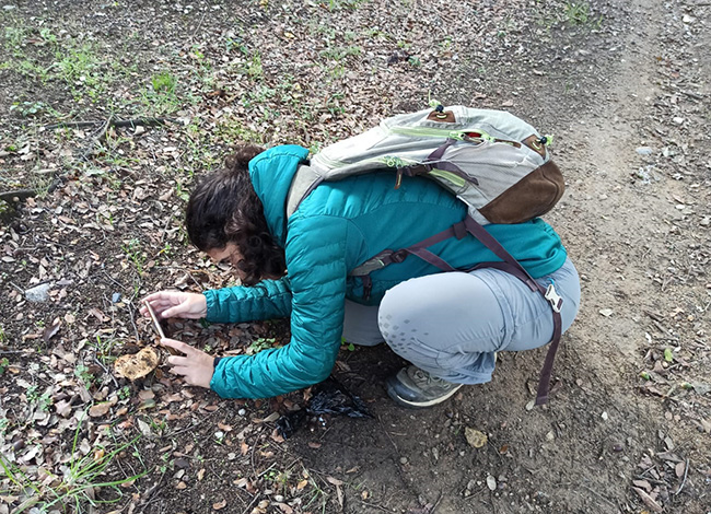 Delegació de la Serralada Litoral Central (ICHN)