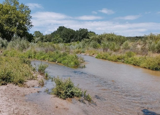 Biblioteca de Tordera