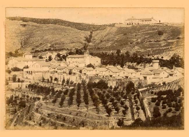 Associació d'Amics de la Cartoixa de Montalegre