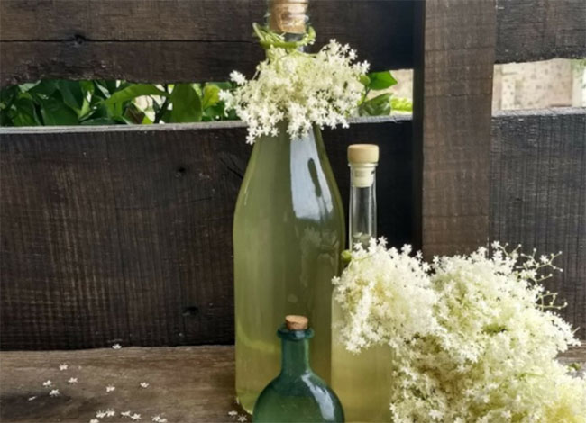 Biblioteca l'Escorxador Sant Celoni