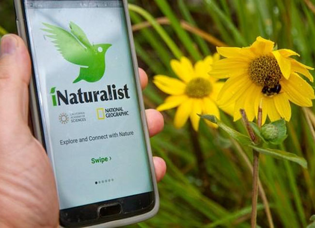 iNaturalist