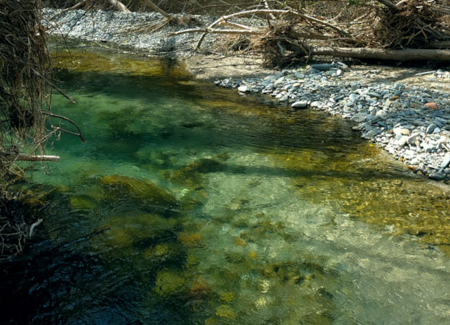 Ajuntament Sant Celoni