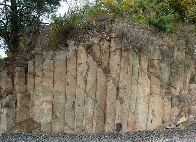 Museu de la Pagesia de Fogars de la Selva