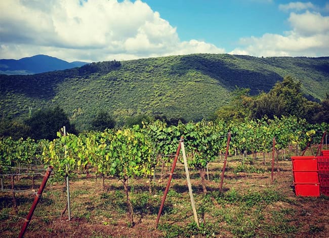 Ajuntament de Vallgorguina