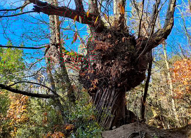 viladraueducació.com