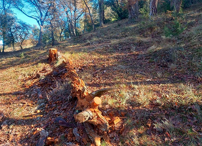 Viladraueducació.com