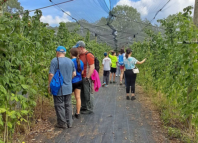 viladraueducacio.com