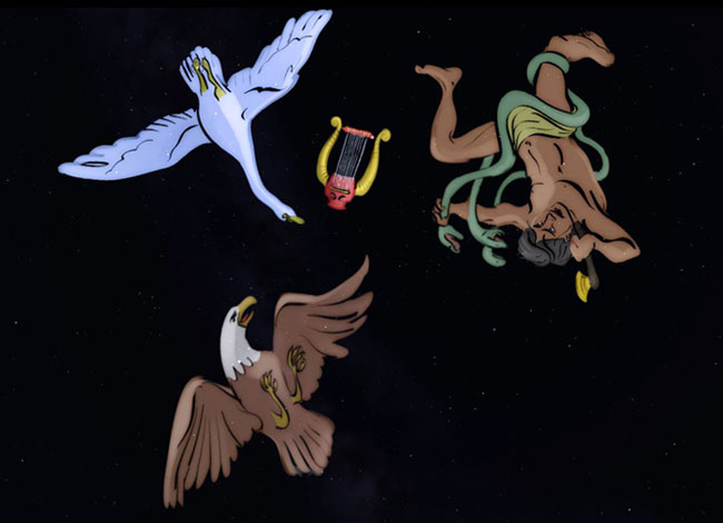 Museu de Ciències Naturals de Granollers