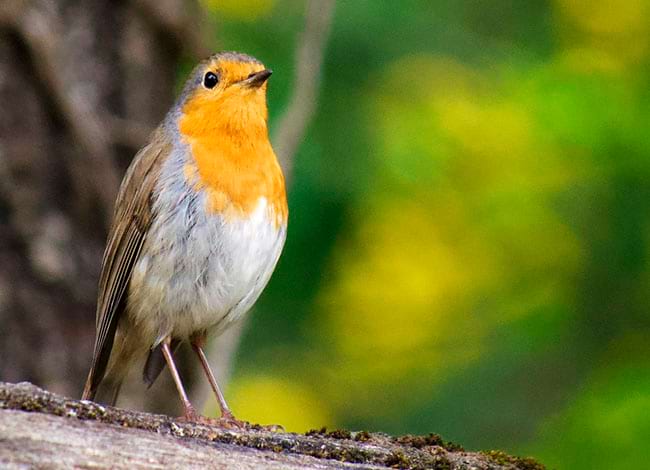 Viladraueducació.com