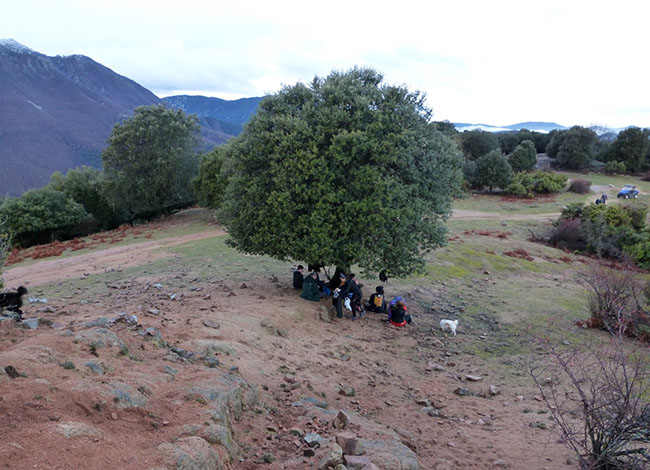 Turisme Montseny