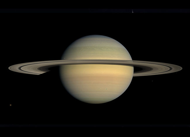 Museu de Ciències Naturals de Granollers