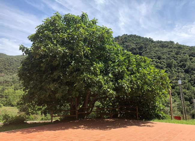 Aprèn, Serveis Ambientals