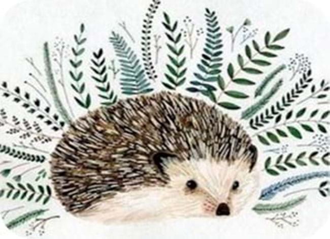 Biblioteca Can Baratau