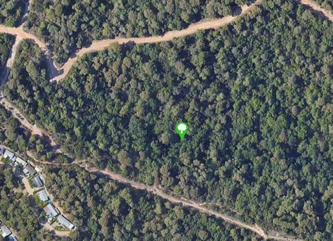 Google Maps